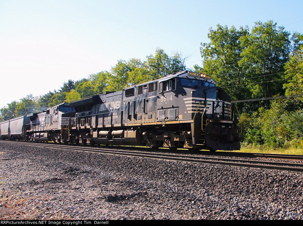 NS 3614 leads 18N